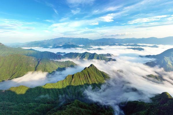 China’s Tianmu Mountain reserve&hellip;