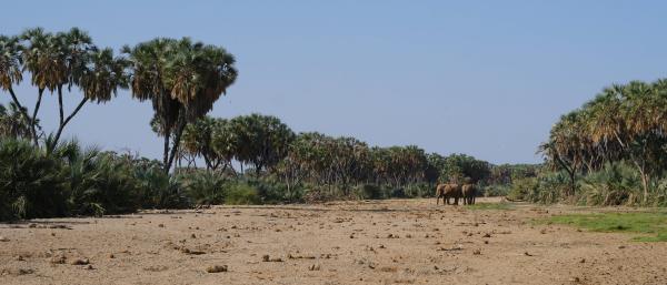 100 conservation projects are looking…