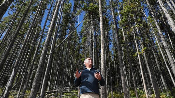 As Trump comes after research, Forest…