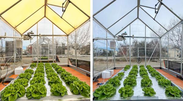 photo of New Solar Glass Cranks Up Lettuce Crop Yields By Almost 40% image