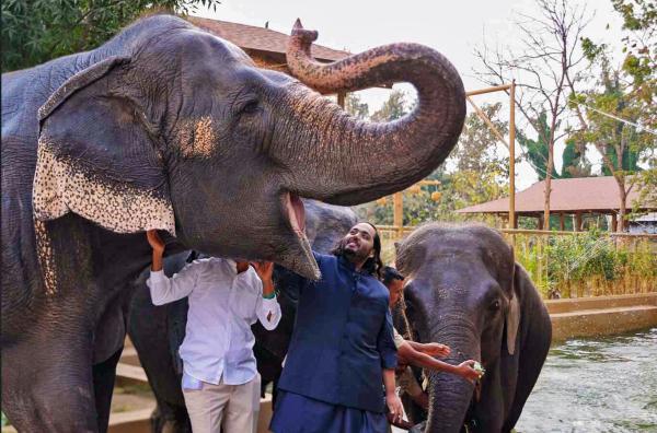 NGOs call on Vantara to end all wild…