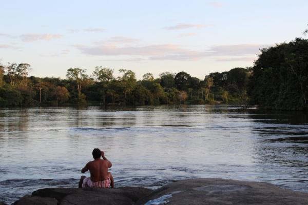 Deforestation Threatens Public Health.…