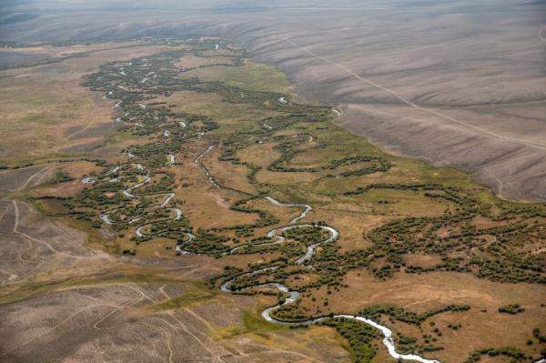 The Sage Grouse Could Face More…
