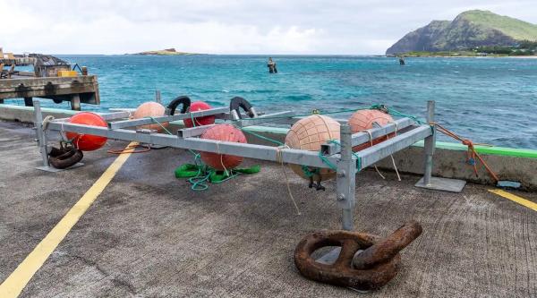 New Kind Of Surfer Is Riding Waves —&hellip;