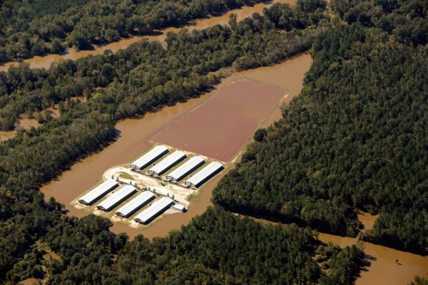 Funding Shortfalls Hamper North…