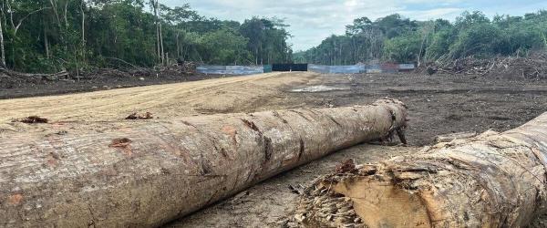 Panama boosts protections in the Darién…