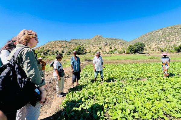 WWF’s top leader acknowledges reforms…