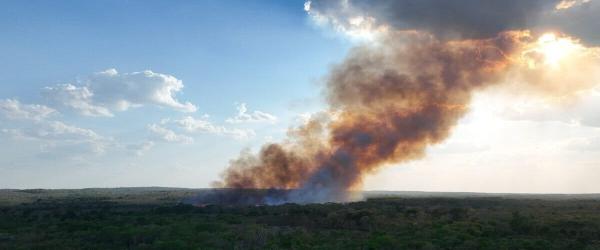 Officials struggle with land invasions…