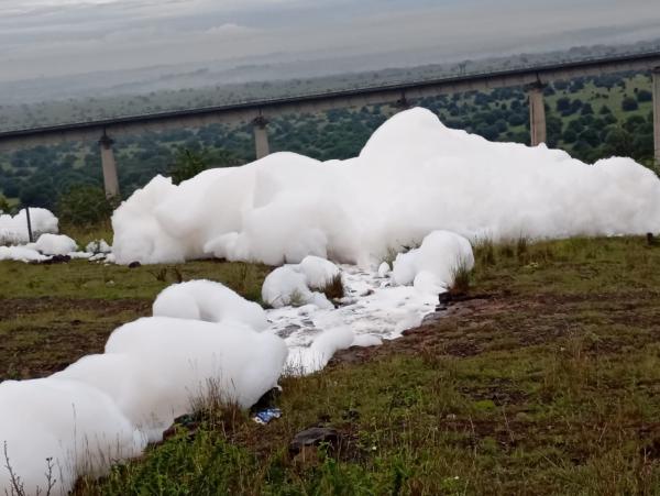 Suspected chemical pollution threatens&hellip;