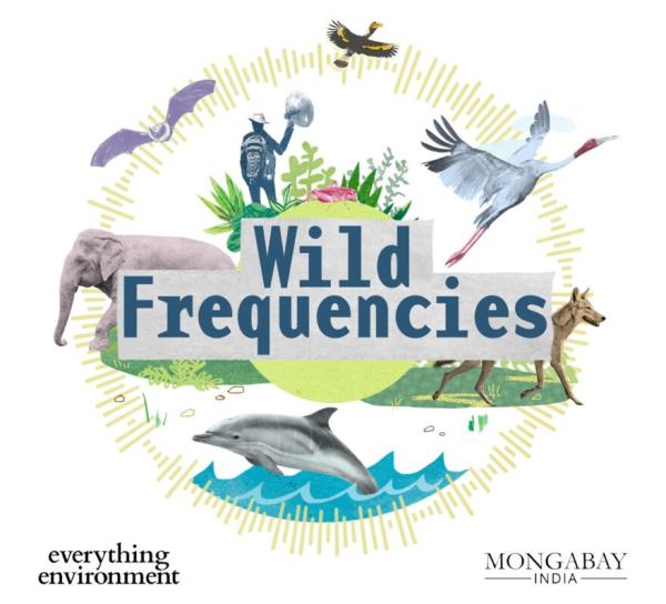 photo of Mongabay India wins best science podcast at Publisher Podcast Awards image