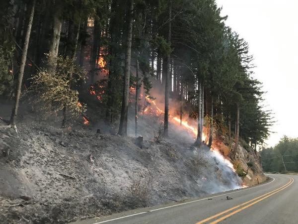 photo of Court Considers If Washington State, Smothered by 'Climate Fires' and Smoke, Is Violating Youths’ Rights to Life and… image