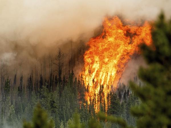 Opinion: I used to believe climate&hellip;