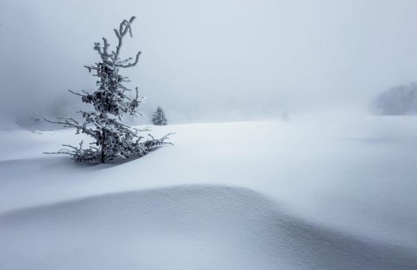 The biggest climate risk right now&hellip;