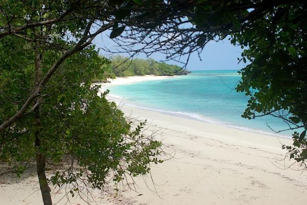 Zanzibar must act to conserve its…