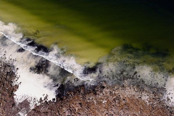 An underwater phantom is killing fish&hellip;