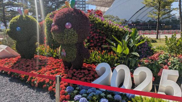 2025 Highlight: Guangzhou Shows a&hellip;