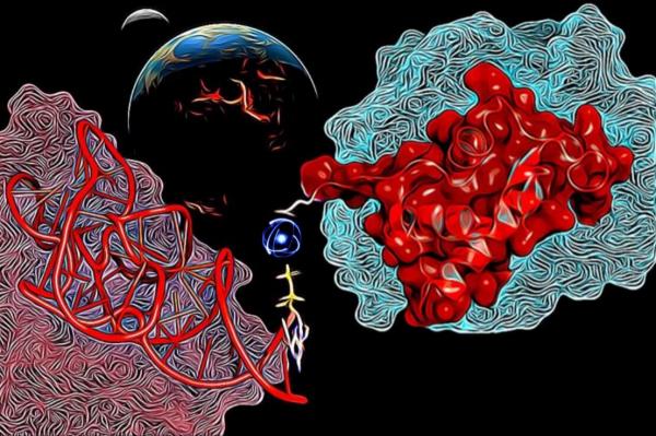 photo of A new perspective on how early protein-RNA interactions evolved image