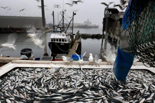 US move to loosen restrictions on&hellip;