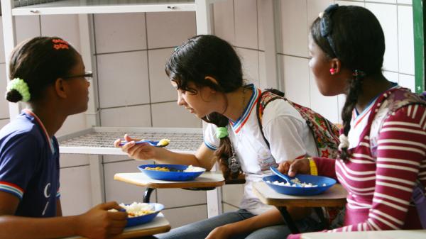 Rio de Janeiro state bans shark meat for…