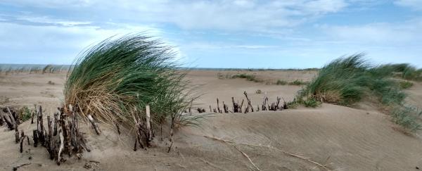 As storms surge & the sea rises, Belgium…