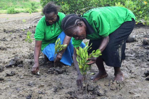 ‘Political will is everything’:&hellip;