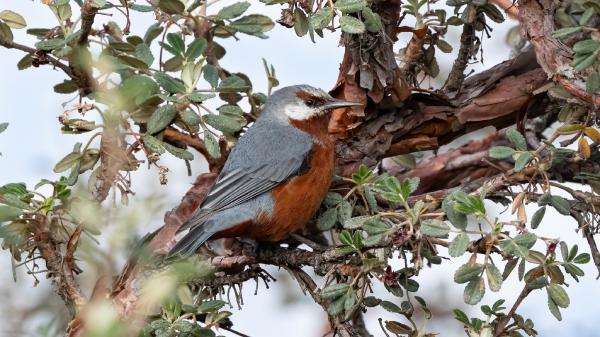 Project sees long-term success restoring&hellip;