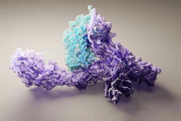 photo of New artificial intelligence software can compute protein structures in 10 minutes image
