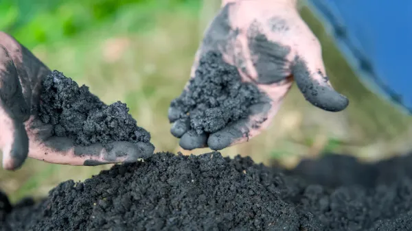 photo of Biochar’s secret power could change clean water forever image