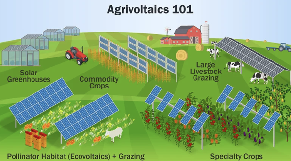 In A Contest Between Solar & Ethanol, There Is One Clear Winner