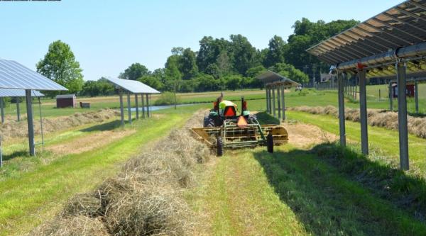 New Agrivoltaic Solutions Keep Bubbling…