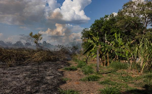 Deforestation and warming could push&hellip;