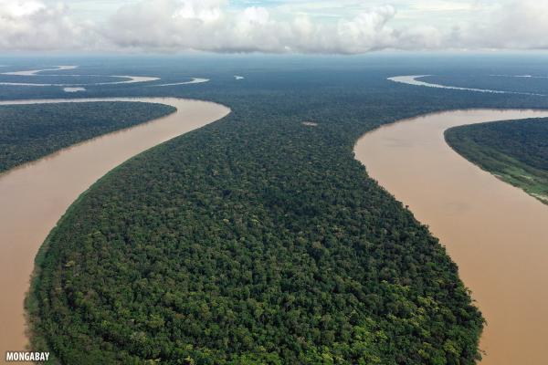 IUCN’s Madhu Rao on the world’s…