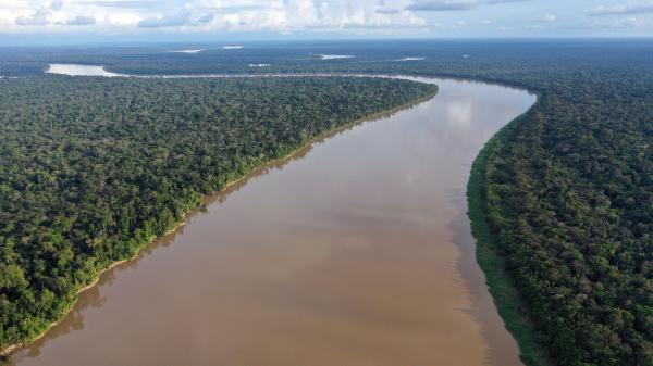 Brazil has protected much of the Amazon.&hellip;
