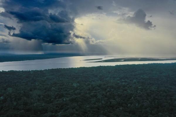 Deforestation is killing people by…