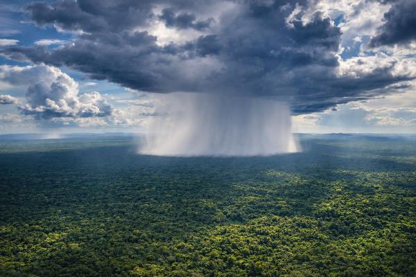New studies portray Amazon as&hellip;
