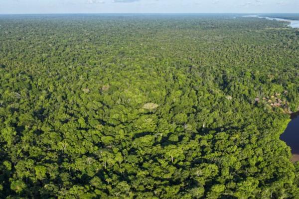 photo of Sani Isla: A Kichwa community that found alternatives to oil in conservation and tourism image