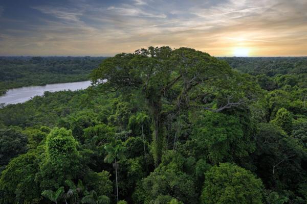 To change the environment, change the…