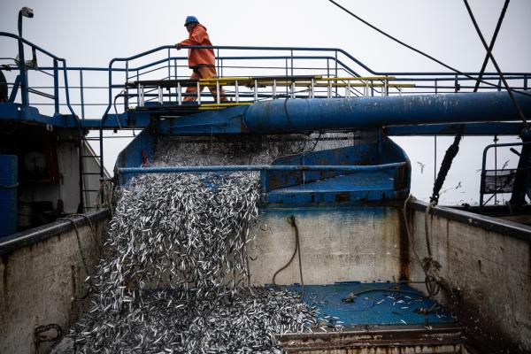El Niño is here, and it’s already&hellip;