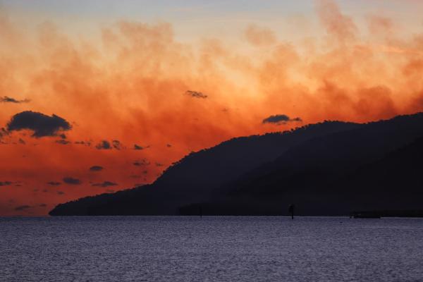 After logging bans, Australia turns to&hellip;