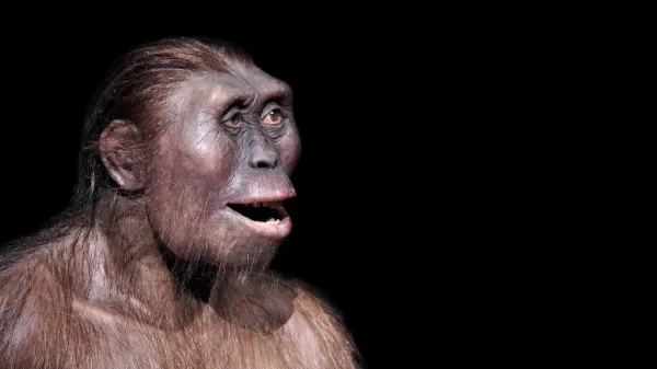 A strange ancient foot reveals a hidden…