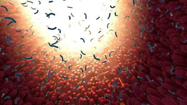 photo of Scientists discover tiny gut particles that may drive aging and chronic disease image