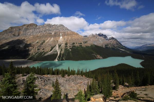 Canada offers mines and more in $730b&hellip;