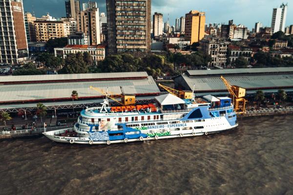 A forest worth more standing: Virgilio…