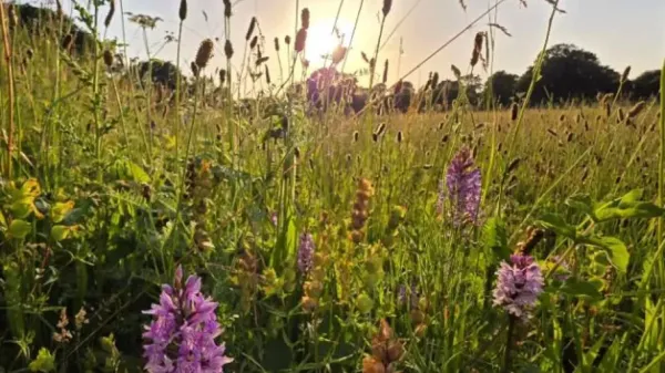 Scientists left this farm field alone.&hellip;