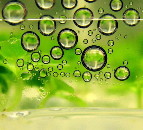 Biofuels Globally Emit More CO2 Than The…