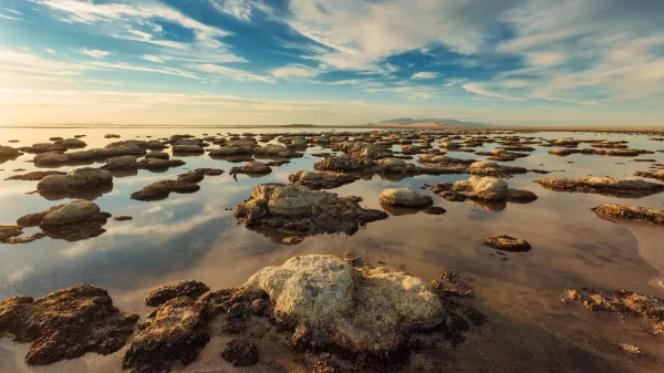 A never-before-seen creature has been&hellip;