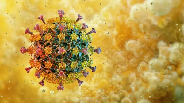 photo of Bird flu’s surprising heat tolerance has scientists worried image