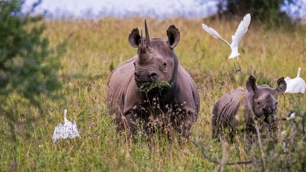 Chinese court cases reveal most&hellip;