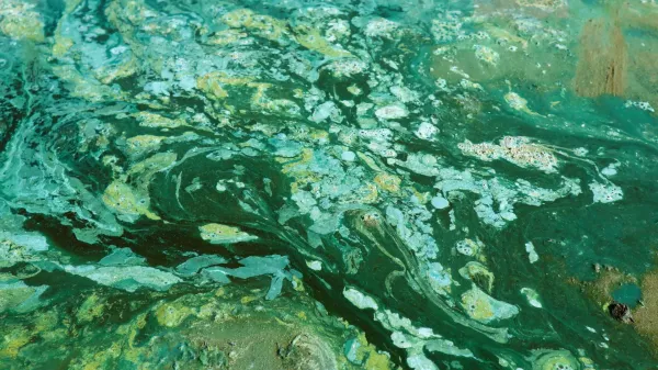 Scientists uncover what delayed…