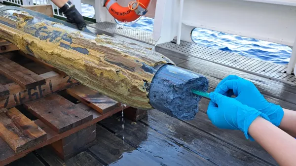 Life found in a place scientists thought…